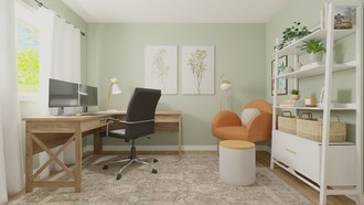  Office by Havenly Interior Designer Rachel