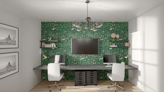 Contemporary, Modern, Industrial, Traditional Office by Havenly Interior Designer Ana