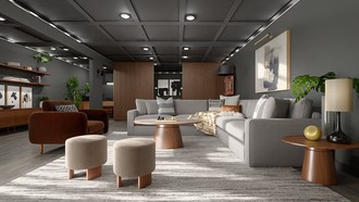 Contemporary, Midcentury Modern Other by Havenly Interior Designer Erin