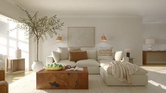  Living Room by Havenly Interior Designer Diana