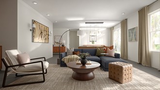 Warm Transitional Other by Havenly Interior Designer Erin