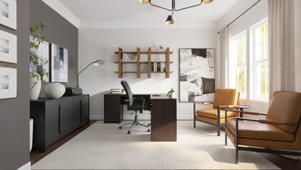  Office by Havenly Interior Designer Daniela