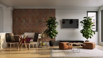 Midcentury Modern Living Room by Havenly Interior Designer Colleen