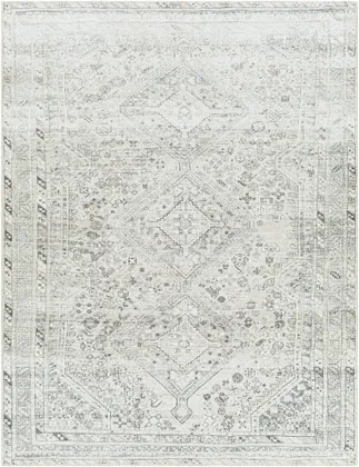 Amelie Gray Indoor 7'10" x 10'2" Machine Woven Rug