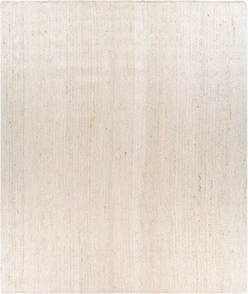 Natural Braids Beige Indoor 8' x 10' Handmade Rug