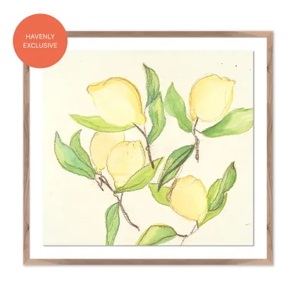 Citrus IV by Kim Whiteside - 24" x 22.5"