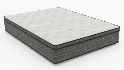 The Euro Top Mattress, Queen