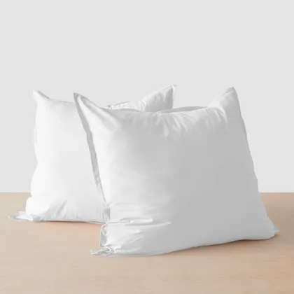 The Citizenry Stonewashed Organic Cotton Percale Euro Shams | White