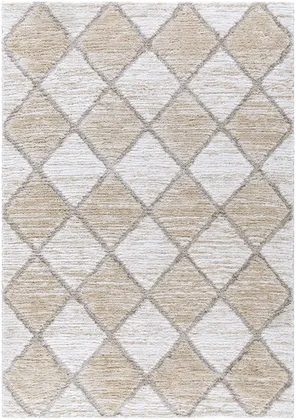 Delight Shag Beige Indoor 5'3" x 7' Machine Woven Rug