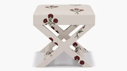 X Bench, Red Delphine
