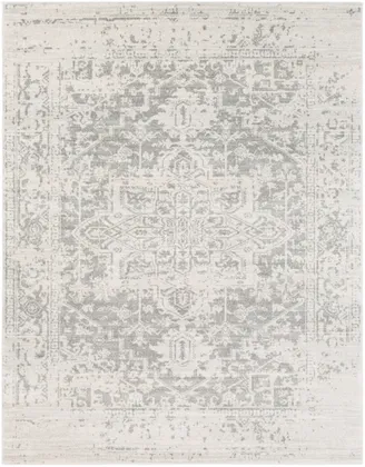 Harput Beige Indoor 8'10" x 12'6" Machine Woven Rug
