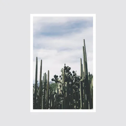 The Citizenry Oaxaca .03 Wall Art No Frame | 16" x 24" | Green