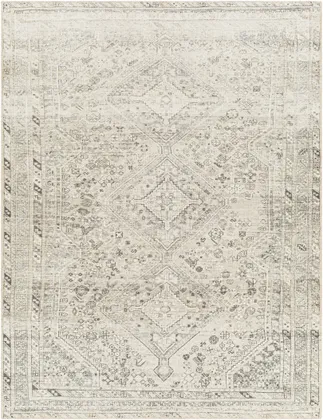 Amelie Gray Indoor 5'3" x 7'3" Machine Woven Rug