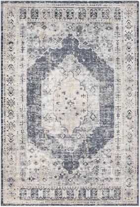 Durham Gray Indoor 6'8" x 9'6" Machine Woven Rug