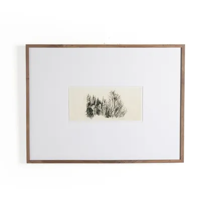 Tree Sketch by Dan Hobday - Rustic 2.5 Walnut