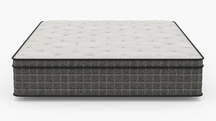 The Euro Top Mattress, King