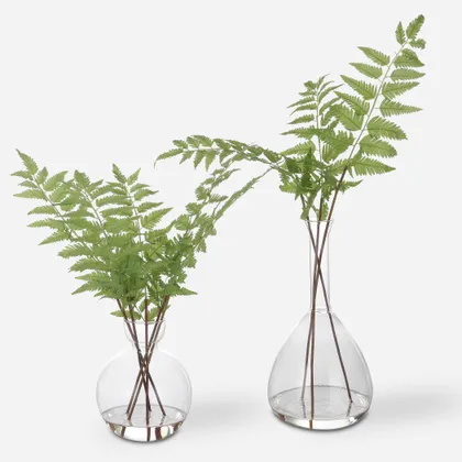 Country Ferns Set/2