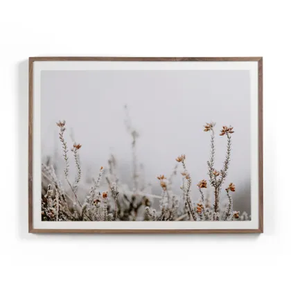 In The Details II by Annie Spratt - Rustic 2.5 Walnut
