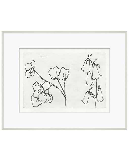 Cotton Sketch Framed Art - McGee & Co.