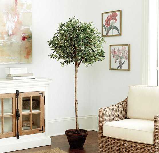 Olive Tree - Ballard Designs