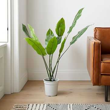 Faux Potted Bird of Paradise, 46in - West Elm