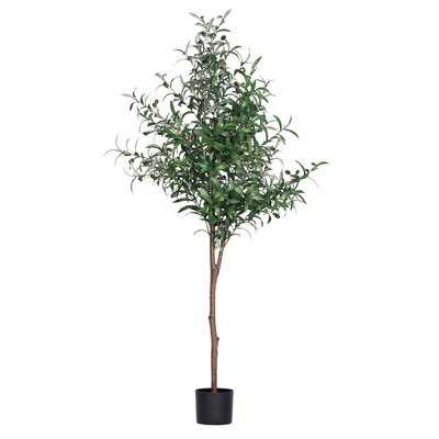 Faux Olive Tree In Pot, 63" - Wayfair