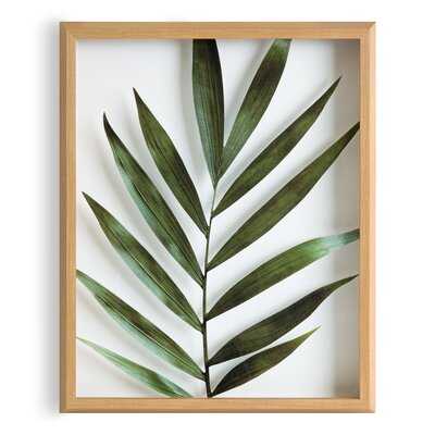 'Botanical 5F' by Uniek - Floater Frame Photograph Print on Glass - Wayfair