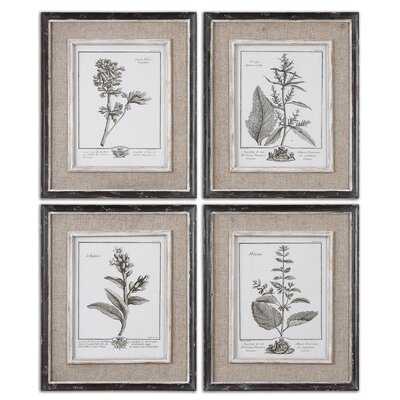 'Ladouceur' by Grace Feyock - 4 Piece Picture Frame Print Set on Paper - Wayfair