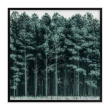 Through the Trees, Black Wood Frame, 30"x30" - West Elm