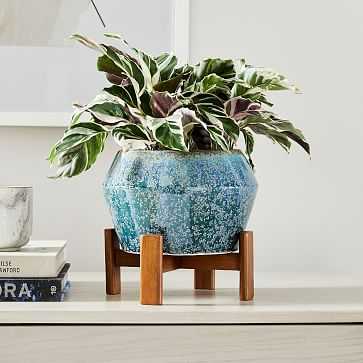 Ilya Tabletop Planter, Small, Reactive Blue, 9in - West Elm