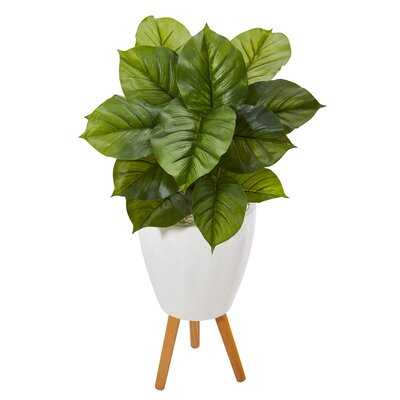 Artificial Philodendron Plant in Planter - Wayfair