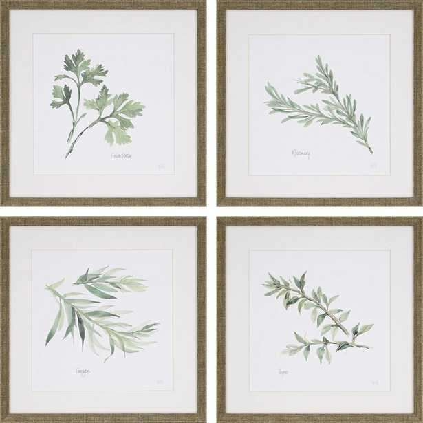 Herbs' Picture Frame Graphic Art, Set of 4 - Birch Lane