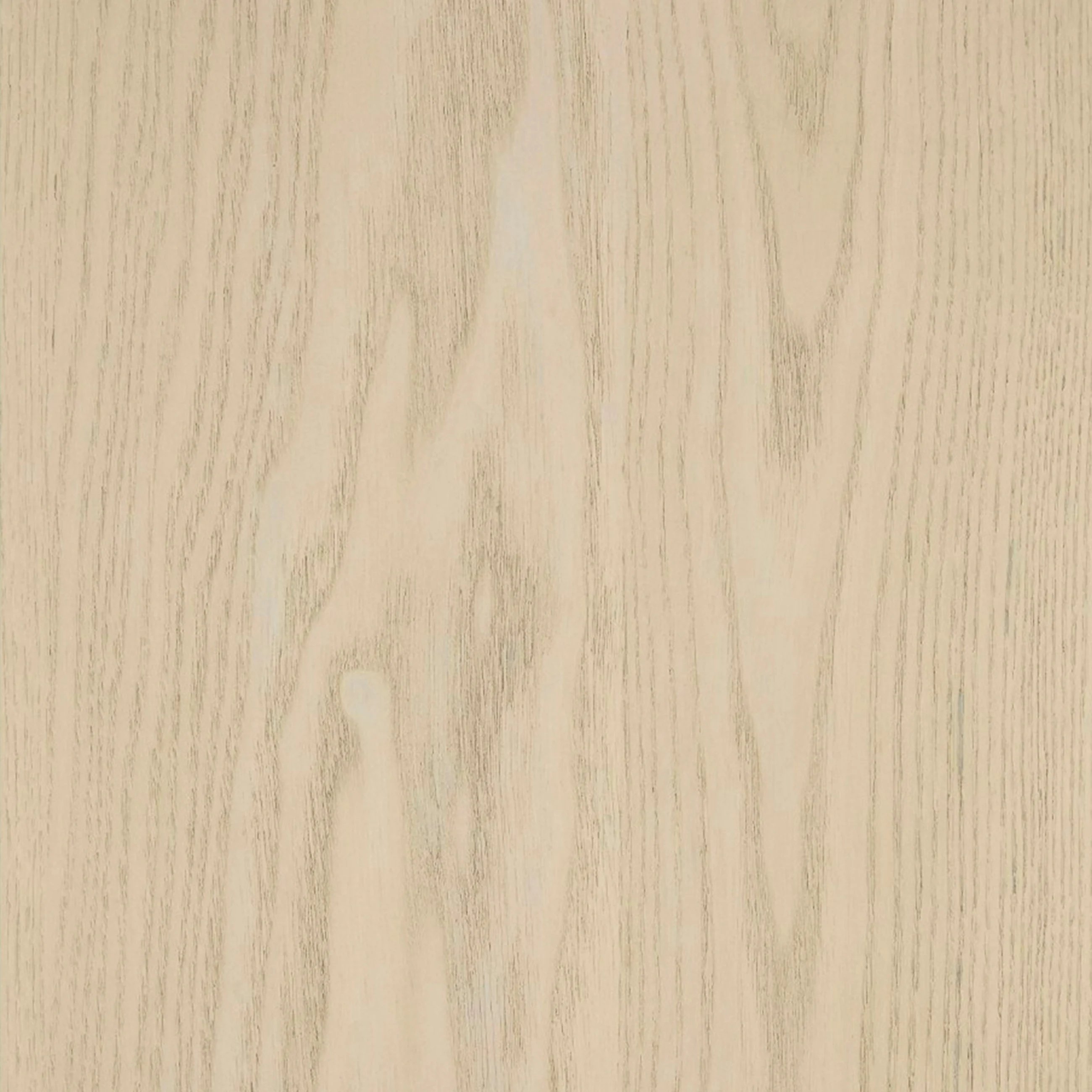 Faydra 35.5" Enclosed Bookcase - Natural Ash - Image 11