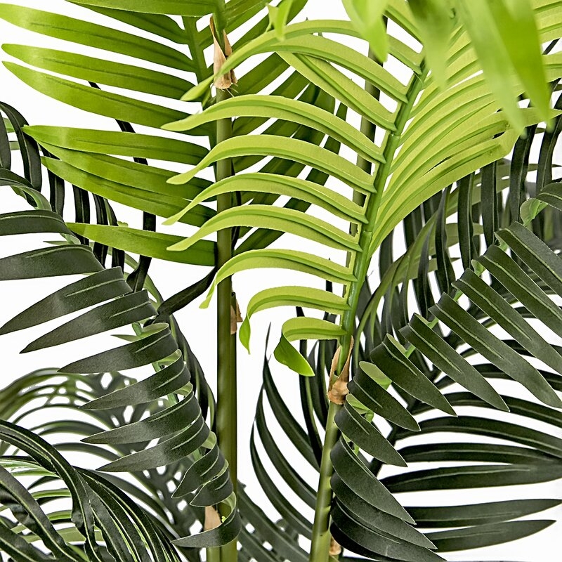 Palm Tree in Pot - Image 1
