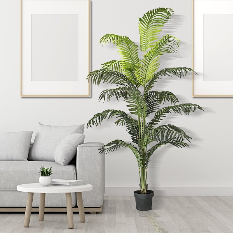 Palm Tree in Pot - Image 2