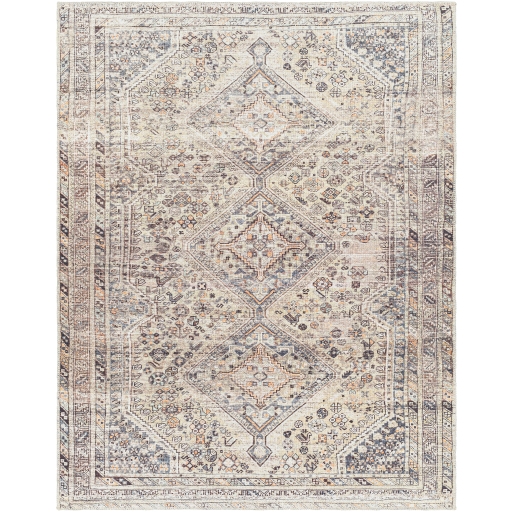 Amelie Beige Indoor 8'10" x 12' Machine Woven Rug - Image 0