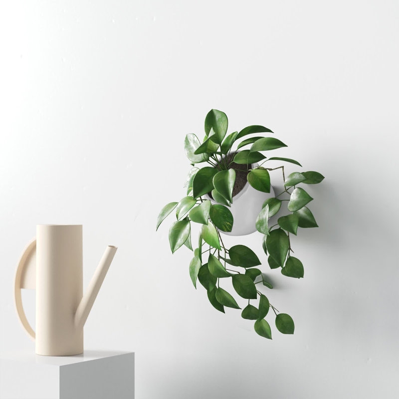 Hilaria Wall Planter - Image 1
