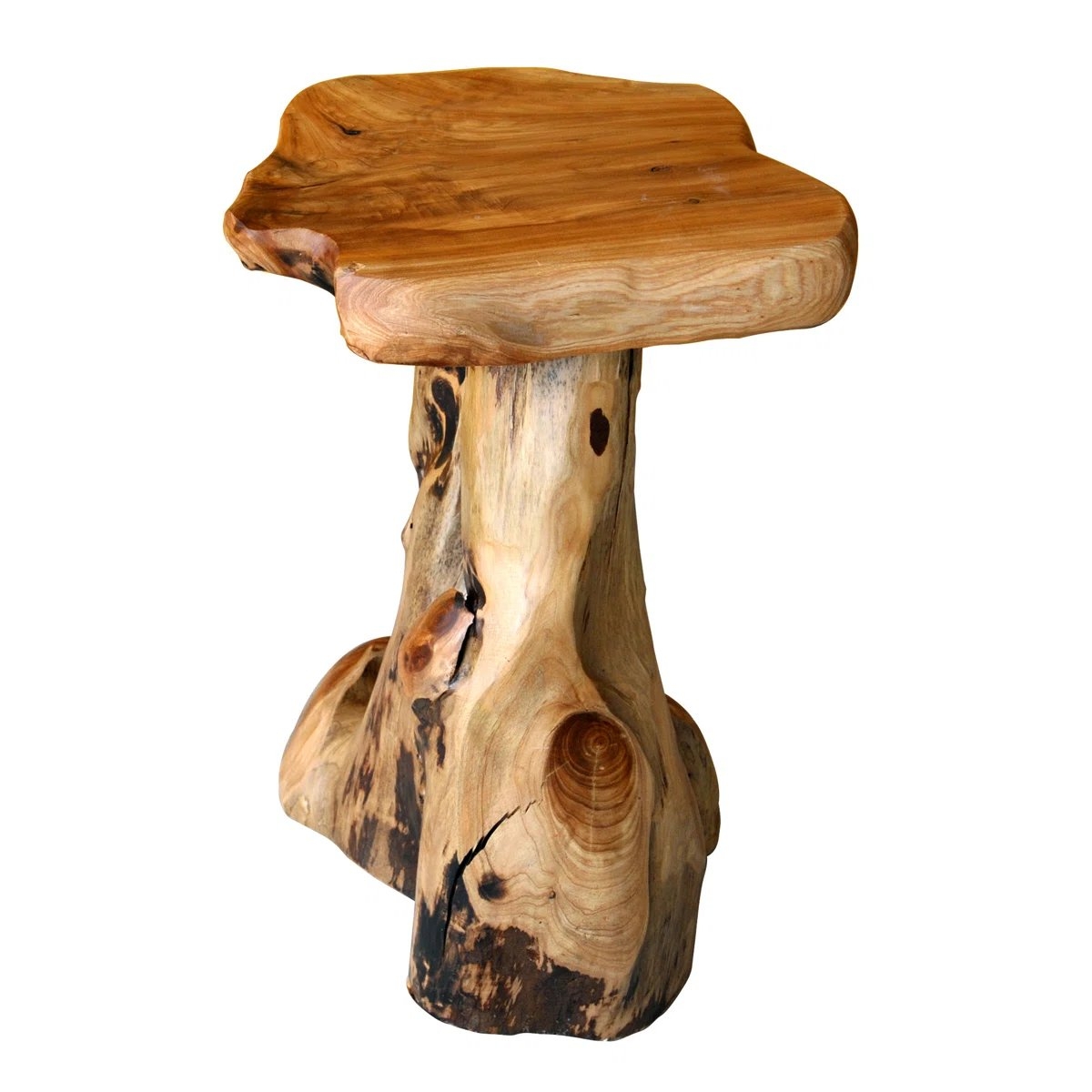 Gerrity Solid Wood Tree Stump End Table - Image 4