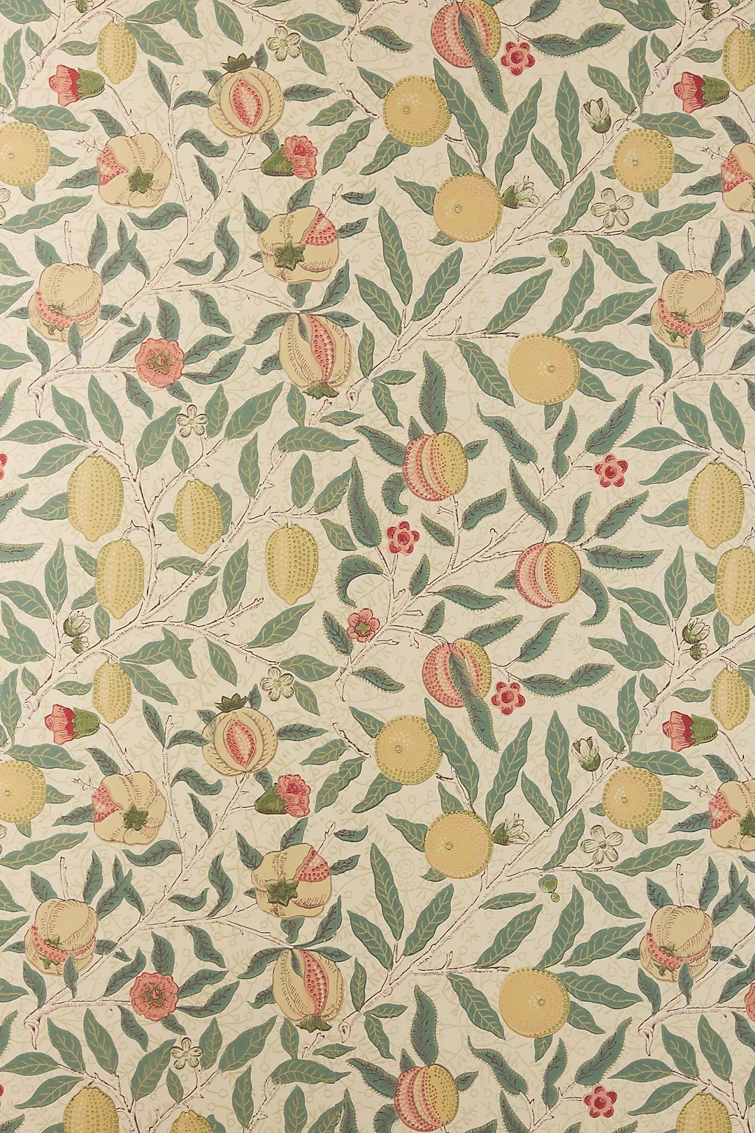 Fruit Wallpaper - Image 0