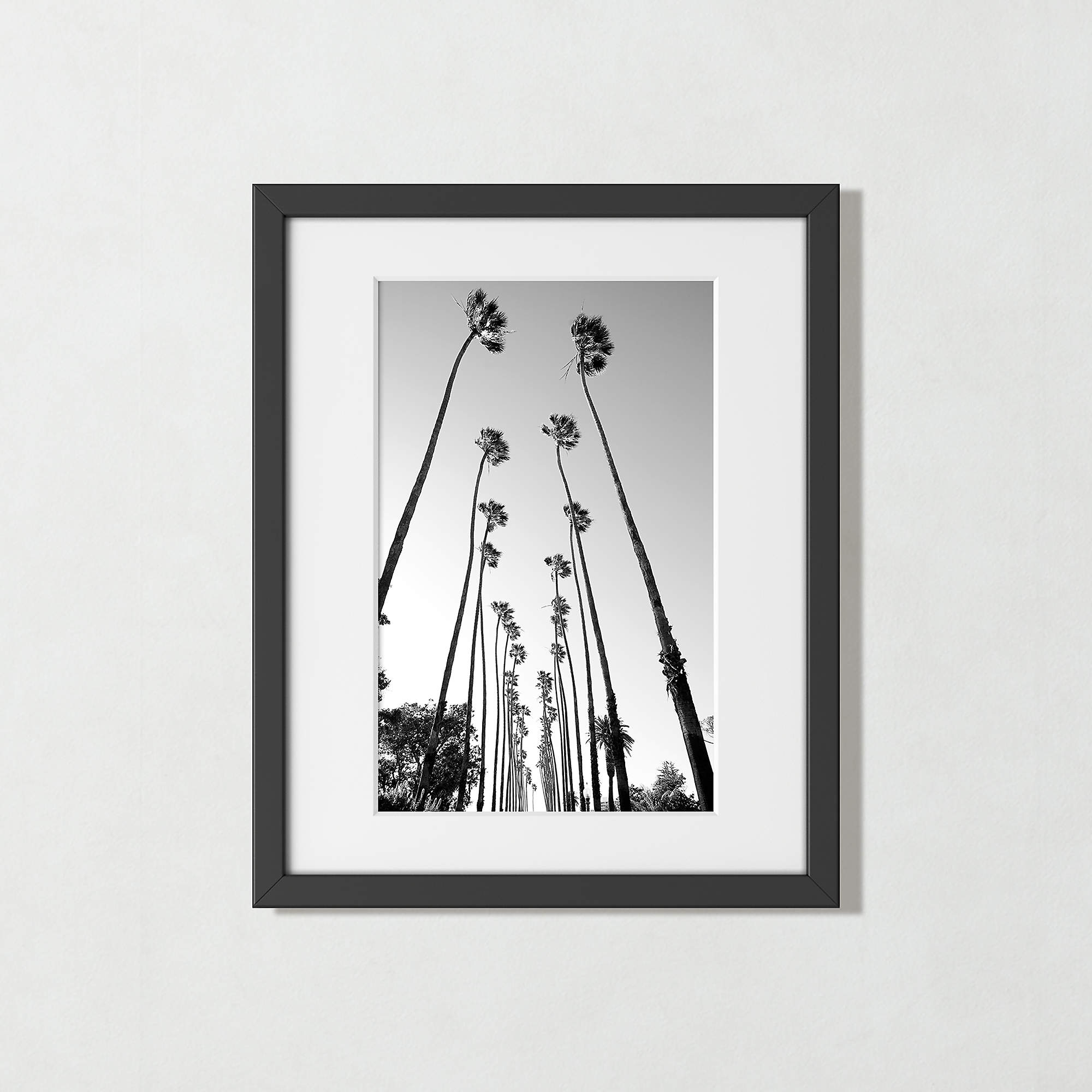 'Palm Trees Road' Photographic Print in Black Frame 17.5"x21.5" - Image 0