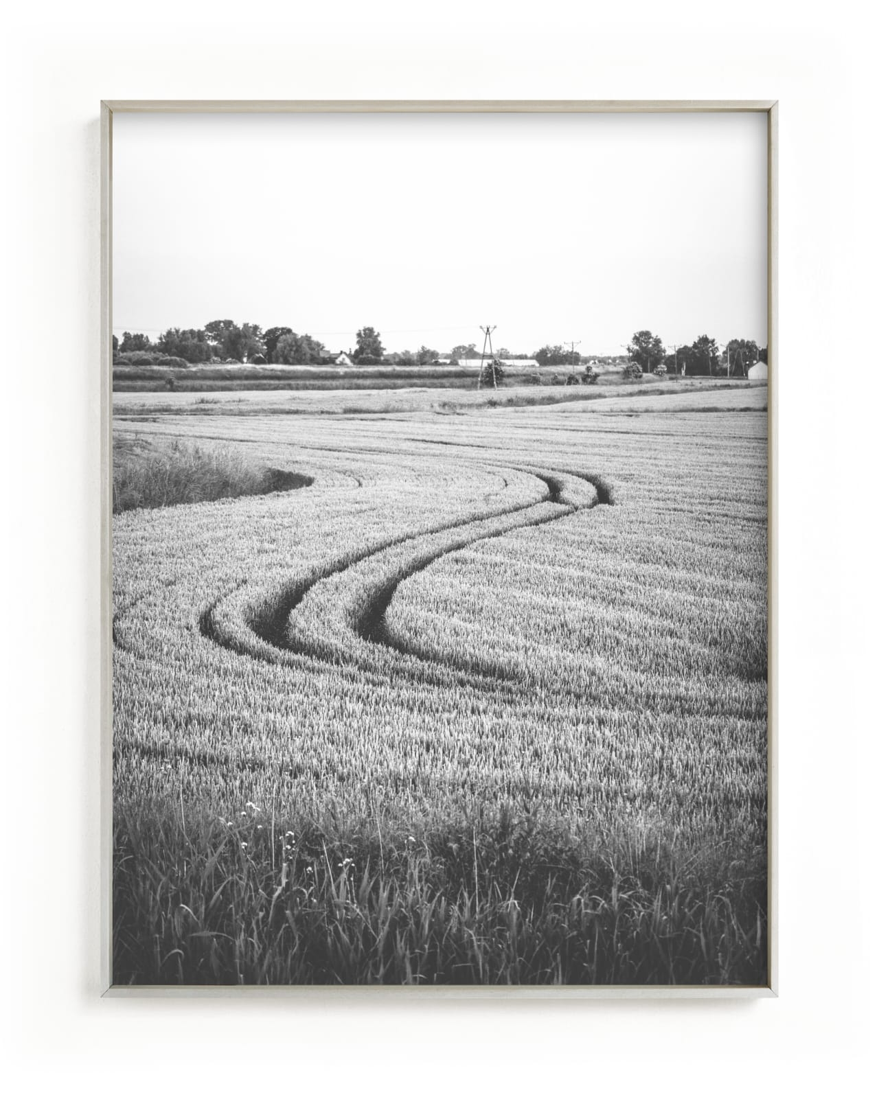 Holy Cow I, 18"x24", Silver Gray, Champagne Silver Frame, Standard - Image 0