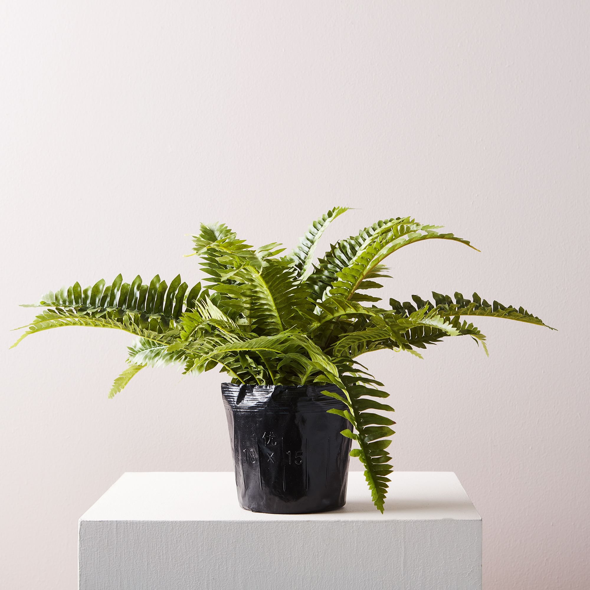Faux Potted Fern Plant - Image 0