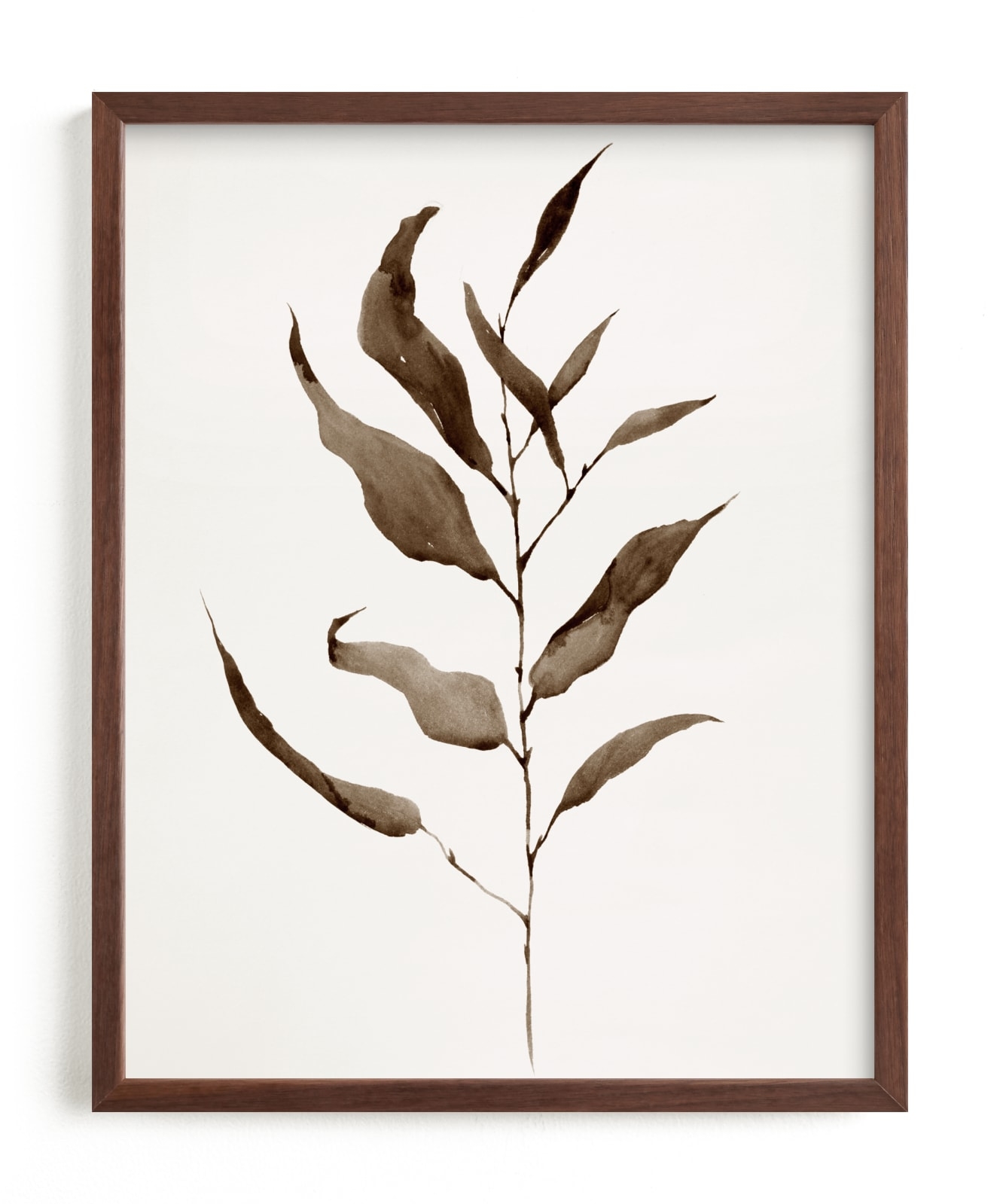 Eucalyptus Foliage Limited Edition Fine Art Print 1 - Image 0