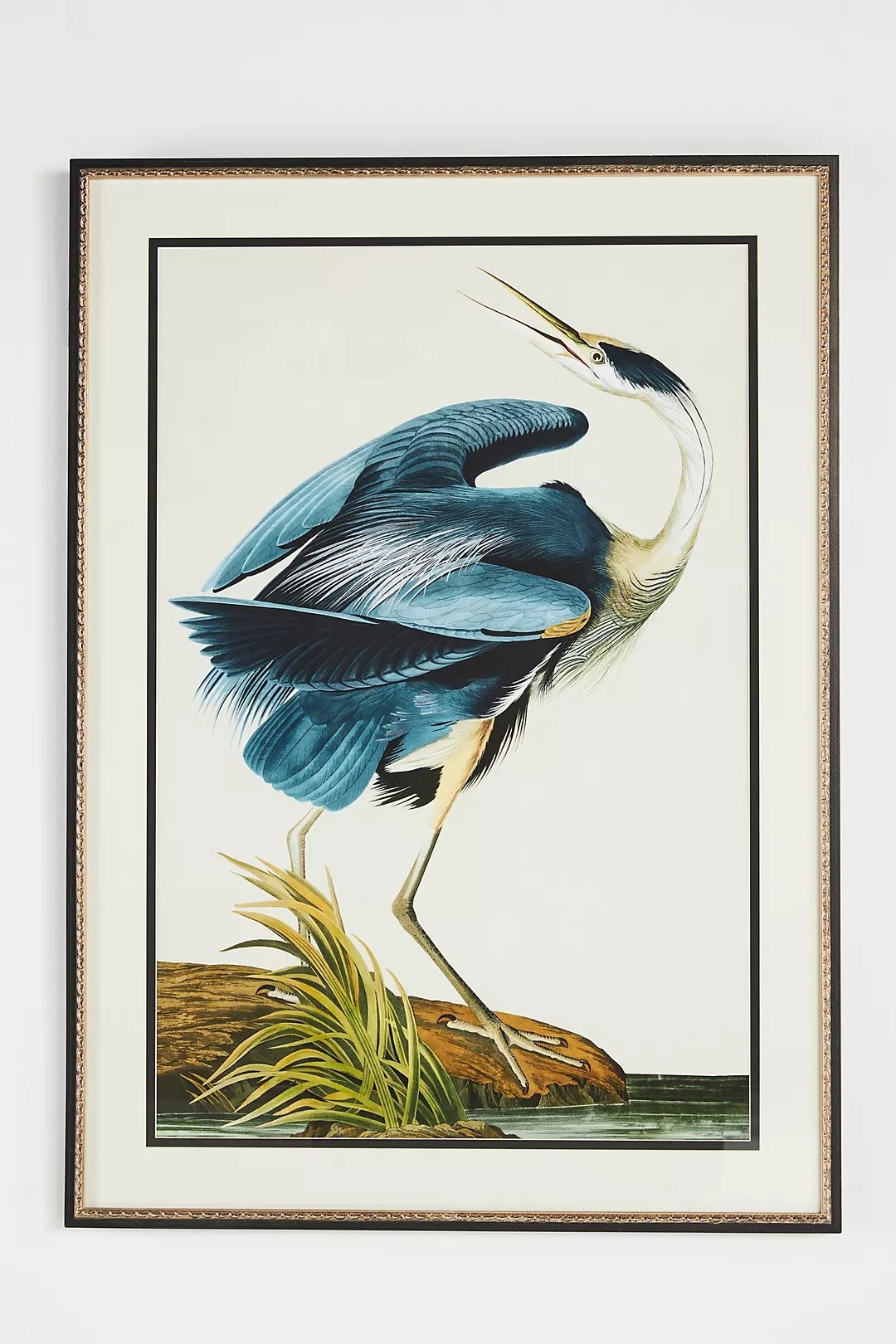 Audobon Blues Wall Art - Image 0