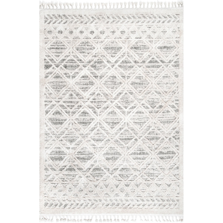Ansley Shaggy Lattice Tassel Area Rug - Image 1