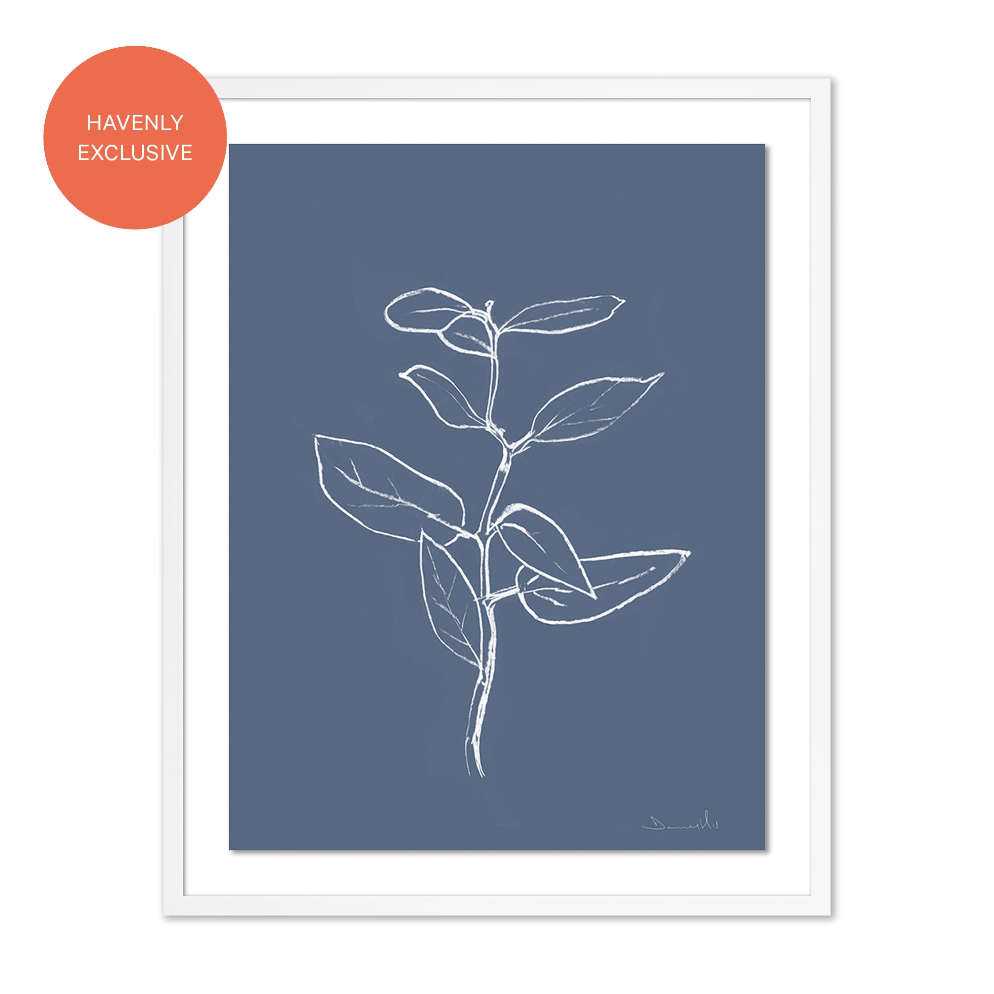 Eucalyptus Sapling by Dan Hobday - 19.5" x 24" - Image 0