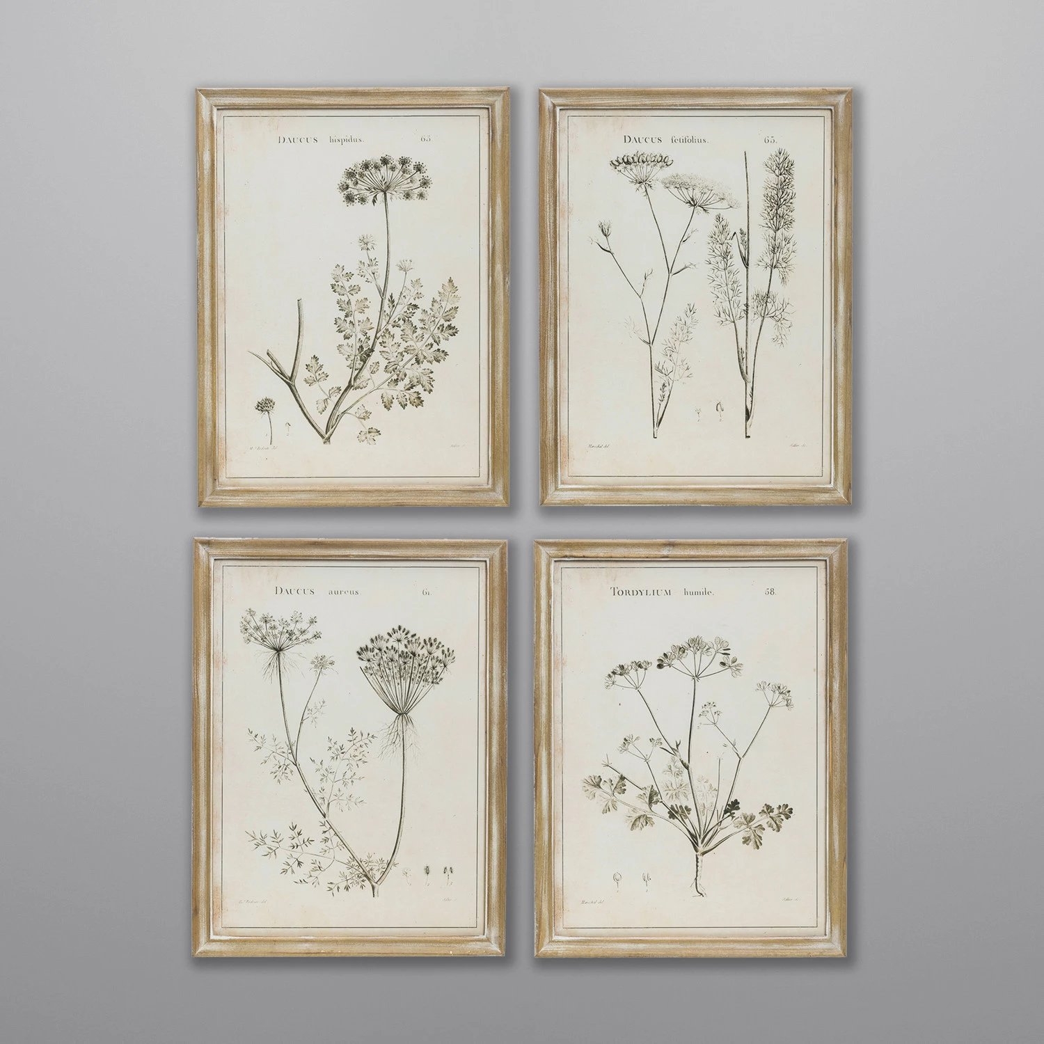 Framed Wall Decor with Botanical Print, 4 Styles - Image 1