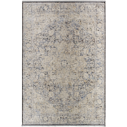 Rivaldo Gray Indoor 7'10" x 10' Machine Woven Rug - Image 0