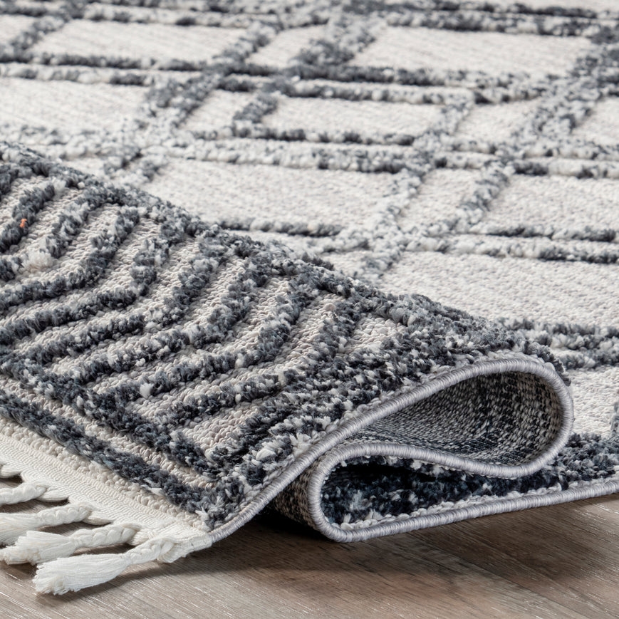 Ansley Shaggy Lattice Tassel Area Rug - Image 2