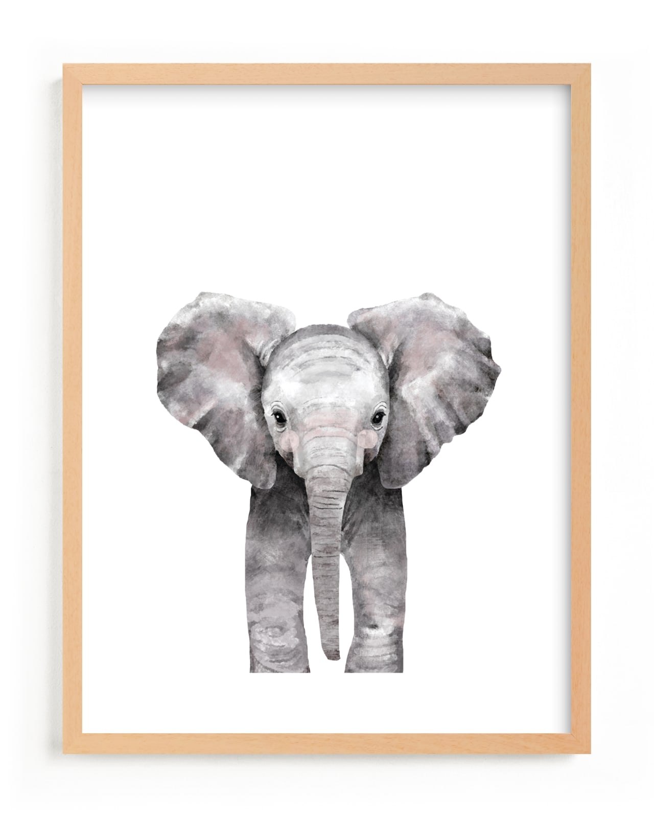 baby animal elephant - Image 0